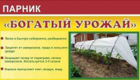 6м